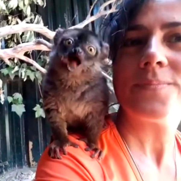 Cristina, comunicadora del equipo Entrespecies